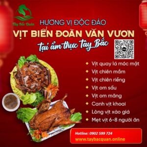 Alternative view of Mẹt Vịt Biển Đoàn Văn Vươn